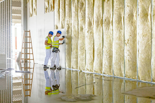 Best Cellulose Insulation in Topeka, IN